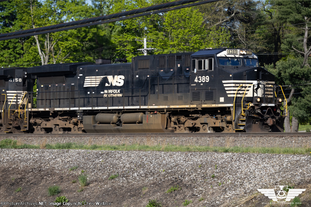 NS 4389